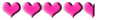Au nom de la rose