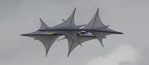 ... cerfs-volants...