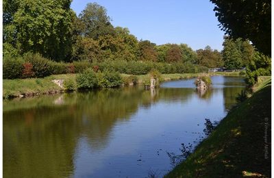 Rambouillet : Les oies du Parc du Château