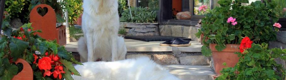 Rencontre