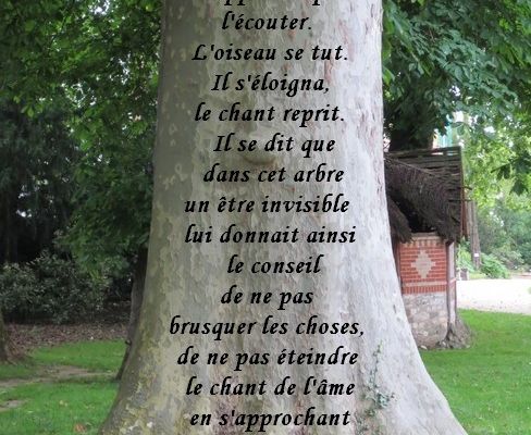 Contes  d'Henri Gougaud : Un rossignol