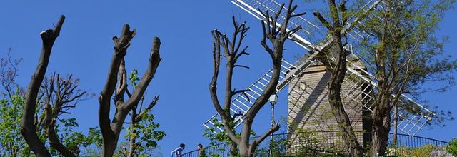 La photo du weekend : Montmartre