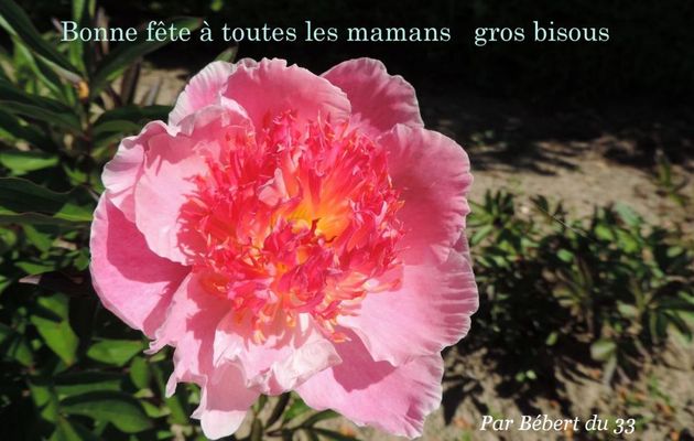 Bonne fête aux Mamans