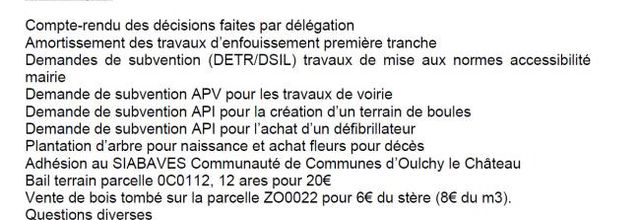 Ordre du jour du conseil municipal du 22 mars 2021