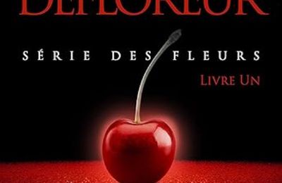 Le défloreur, tome 1, de Victoria Quinn
