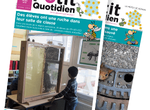 Le petit quotidien