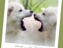  Poussez vous ... on joue !