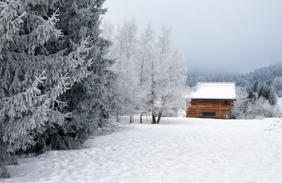 Et s'en est venu l'hiver  