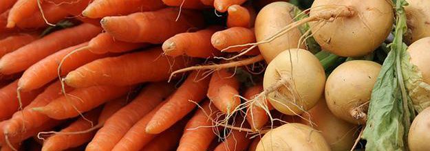 Légumes de saison : le panier AMAP du mois de mars