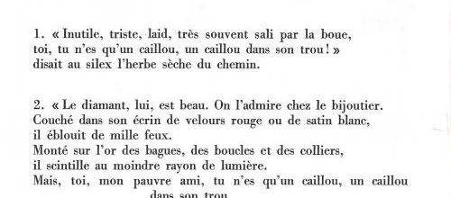 Le caillou et le brin d'herbe jaloux