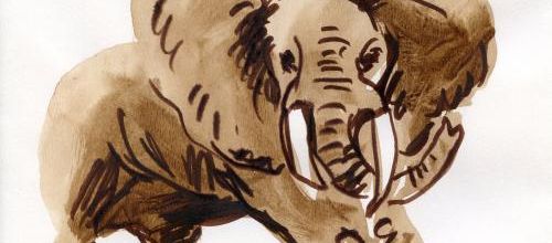 Un éléphant dans ta boîte aux lettres !