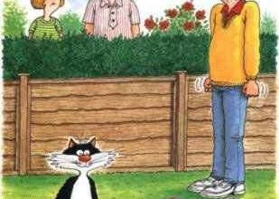 un dimanche de février