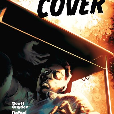 Duck and cover - Snyder & Albuquerque & Maiolo