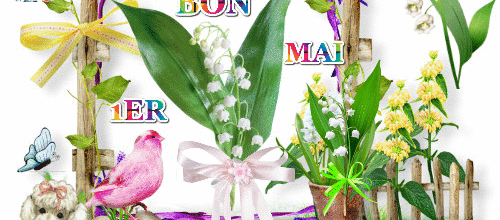 CREA 1ER MAI