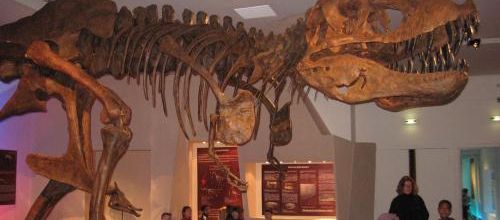 Exposition "dinosaures et cie" - Dinard.