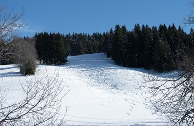 Histoire de se rafraîchir