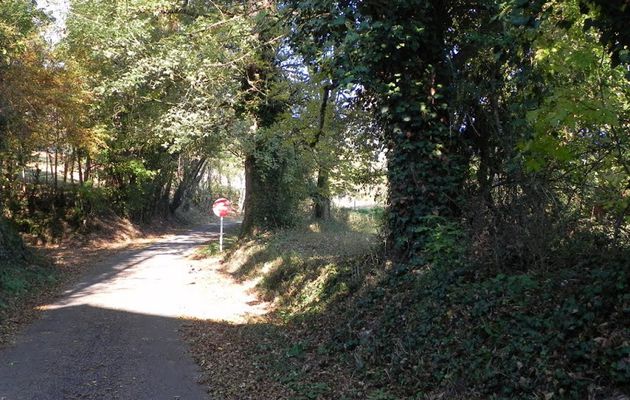 Curemonte
