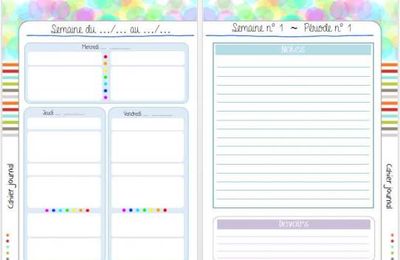 Cahier journal v1