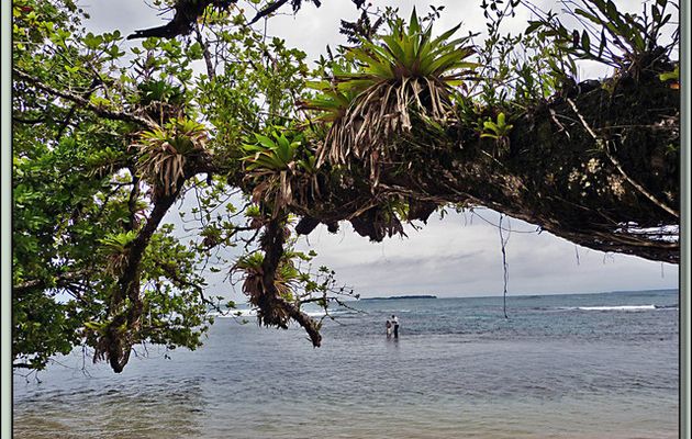 Images du Panama transférées depuis mon ancien blog