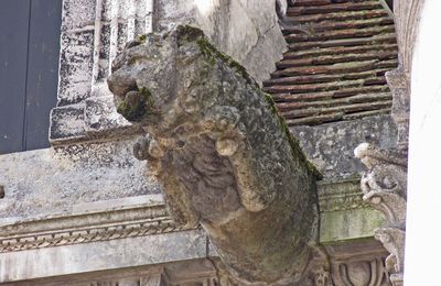 Les belles gargouilles de la Maison Philandrier et de l'ancien Auditoire Royal