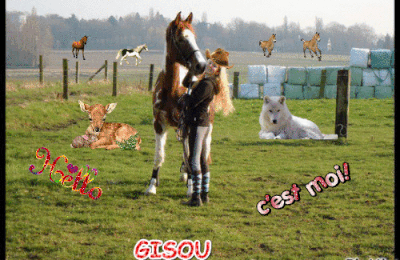 CREA DE GISOU