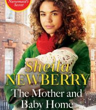 Online Read Ebook The Mother and Baby Home: A festive, warm-hearted new novel from the Queen of Family Saga