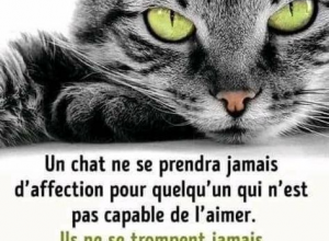 Chalut du 24 avril !