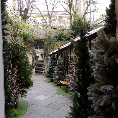 Pour rester dans l'esprit de Noël