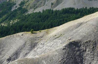 Le Bonheur des lève-tôt.