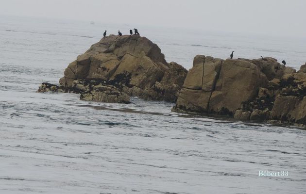 l'Ile de Bréhat dans les côtes d'Armor -2
