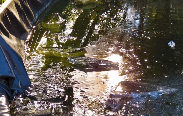 Reflets givrés !