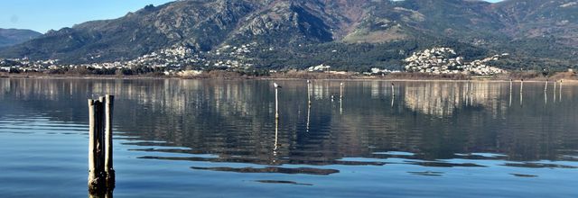 Etang de Biguglia