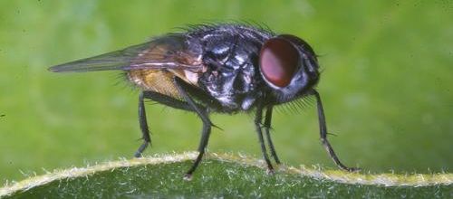 Bienvenue à août...