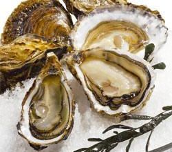 Coquilles d'huîtres
