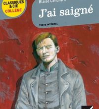 DOWNLOAD [PDF] {EPUB} J'ai saigné  - 1938