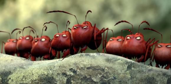 Qui panique le moins, les hommes ou les fourmis.?