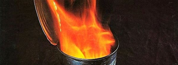 Canned Heat : Album " Vintage " Janus Records JLS 3009 [ US ]