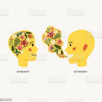 Mon copain est extraverti et moi introvertie.