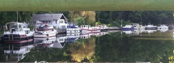 Ma photo préférée du 11 octobre