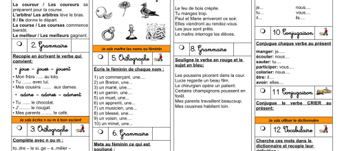 Plan de travail CE1 2014-2015 numéro 7