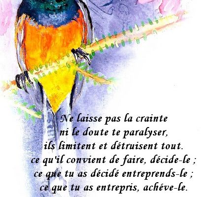 Citations en images : Ne laisse pas.....