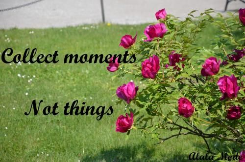 Collect moments not things #18