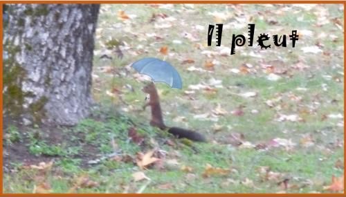 Le partage de Clo Vit et de  Maryse.L