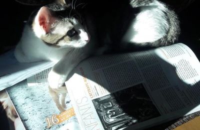 Lecteur assidu