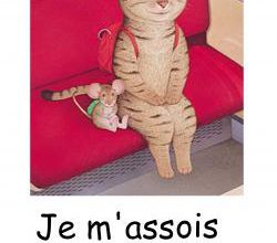 Règles de vie pour mes chatons