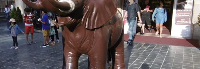Du chocolat pour MA