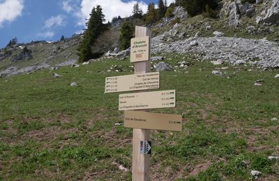 31 mai 2021 Au col de Savalenaz
