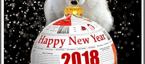 Bonne année ! (1er janvier 2018)