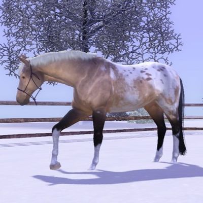 Les Sims de Cléclème