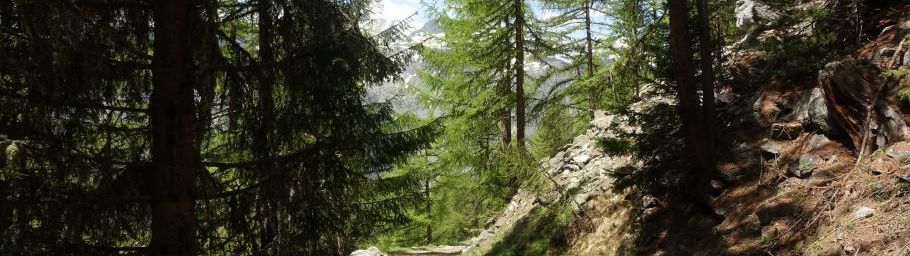 Le Bisse de Tsanpé